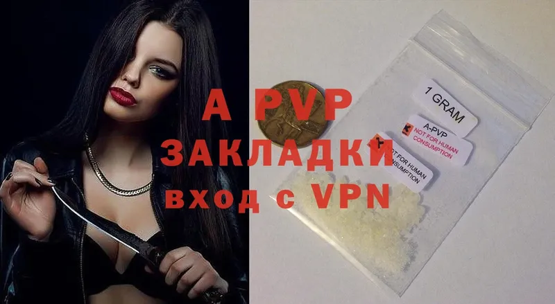 Alfa_PVP СК КРИС Саки